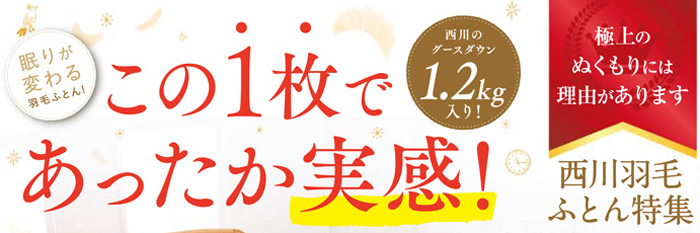 西川羽毛ふとん特集